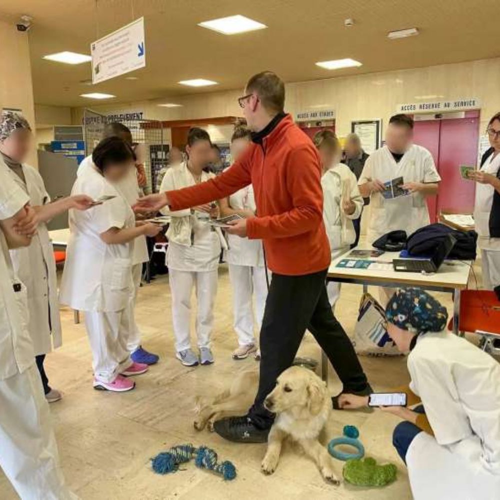 institut la therapie a 4 pattes anizy