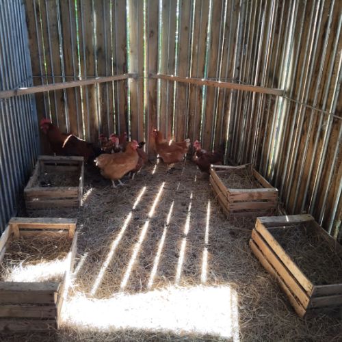 la ferme de fontenille wissignicourt