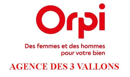 agence immobilière orpi anizy le grand